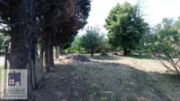 Plac | 4zida