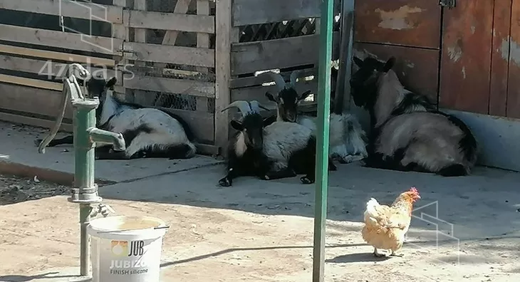 Poljoprivredno zemljište | 4zida