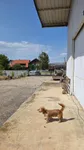 Hala | 4zida