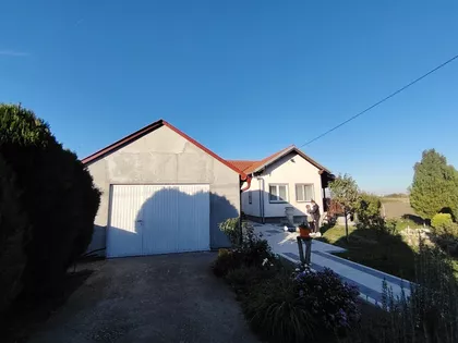 Mike Antića 20 | 4zida.rs