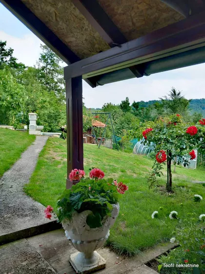 Jelička | 4zida.rs