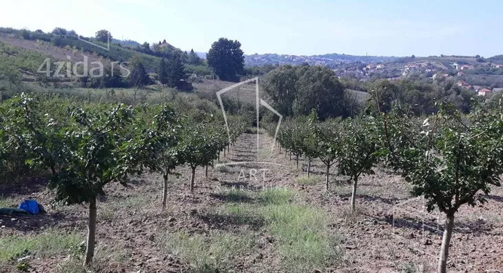 Poljoprivredno zemljište | 4zida