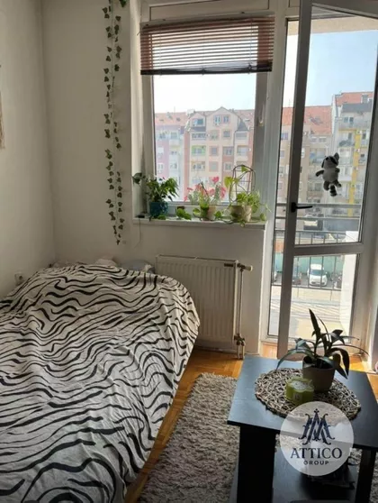 Nova Detelinara | 4zida.rs