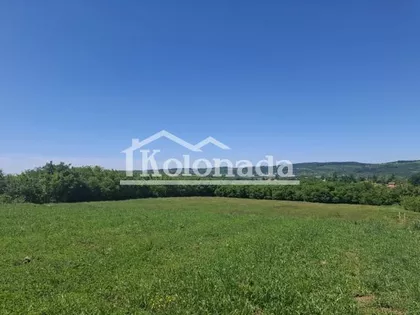 Popović | 4zida.rs