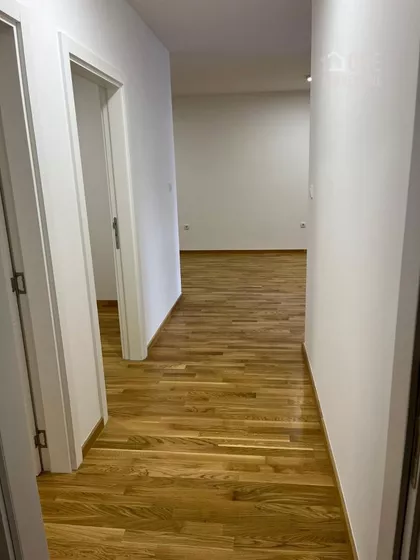 Salajka | 4zida.rs