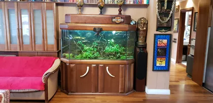 Otona Župančiča | 4zida.rs