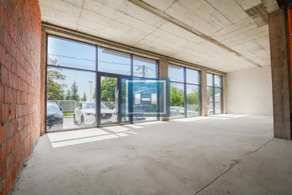 Stepa Stepanović | 4zida.rs