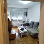 Socijalno, Rotkvarija, Gradske lokacije, Novi Sad | 4zida.rs | 4zida.rs