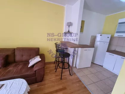 Dr Svetislava Kasapinovića | 4zida.rs