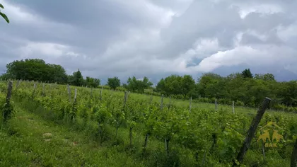 Gradske lokacije | 4zida.rs