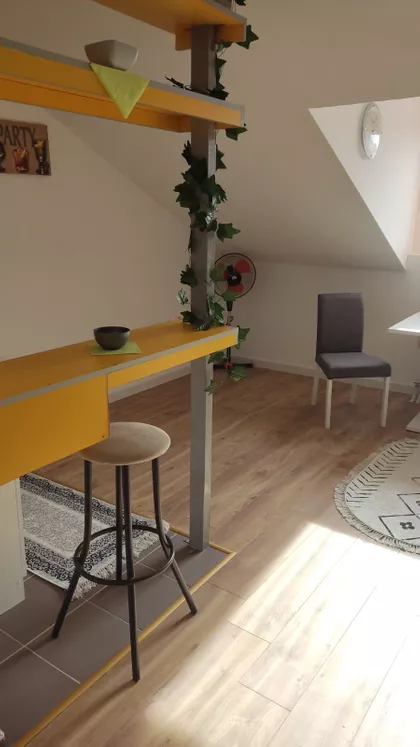 VASE OSTOJIĆA | 4zida.rs