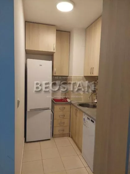 Mileve Maric Ajnstajn | 4zida.rs