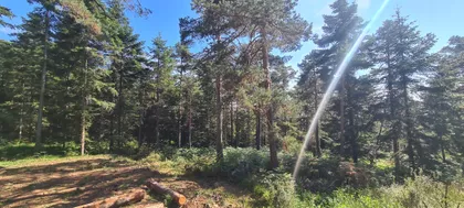 Ljuti Krš | 4zida.rs