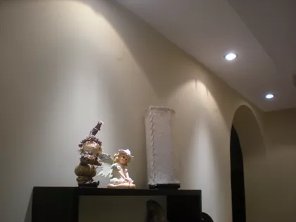 Nova Detelinara | 4zida.rs