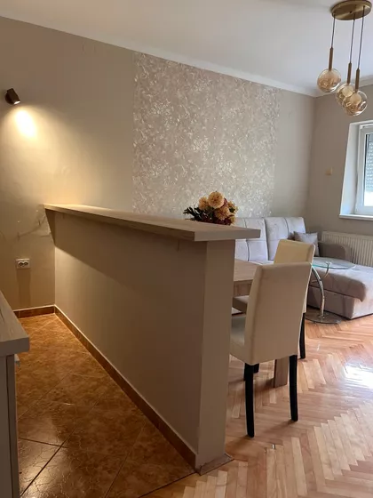 Arsenija Čarnojevića | 4zida.rs