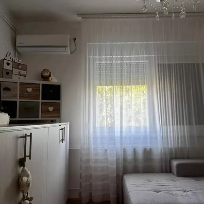 Ruže Šulman | 4zida.rs