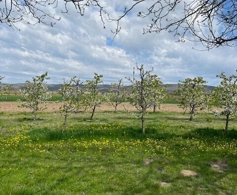 Poljoprivredno zemljište | 4zida