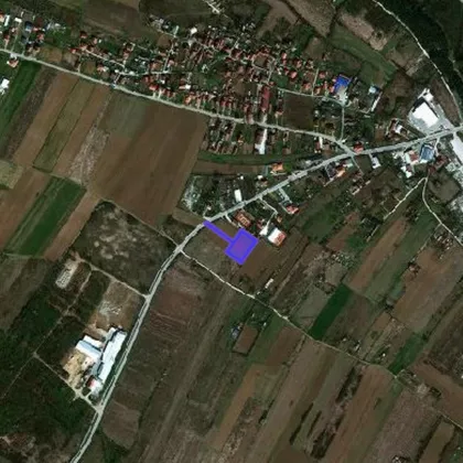 Vinorački Put | 4zida.rs