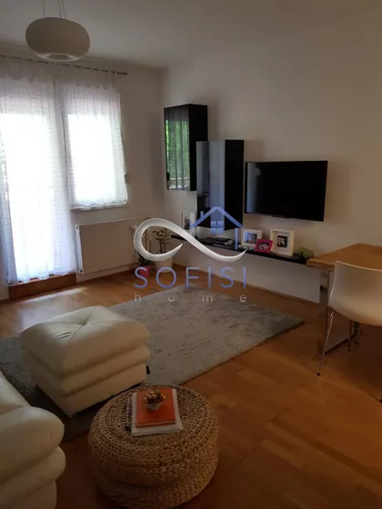 Vase Pelagića | 4zida.rs