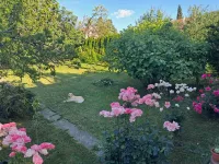 Sremska Kamenica, Gradske lokacije, Novi Sad | 4zida.rs | 4zida.rs
