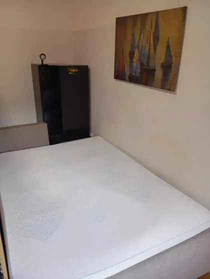 Vase Pelagića | 4zida.rs