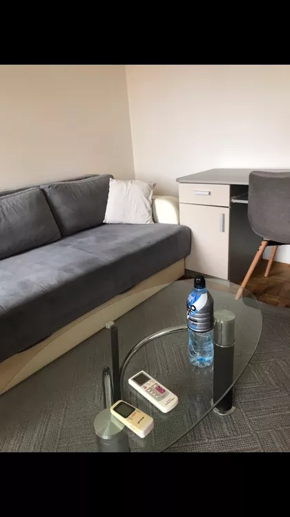 Miše Dimitrijevića | 4zida.rs