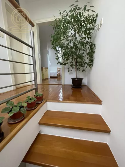 Nova Detelinara | 4zida.rs