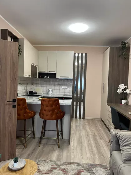 Janka Čmelika | 4zida.rs