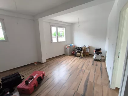 Kej Mike Paligorića | 4zida.rs