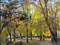 Konjarnik (Voždovački deo), Voždovac opština, Beograd | 4zida.rs