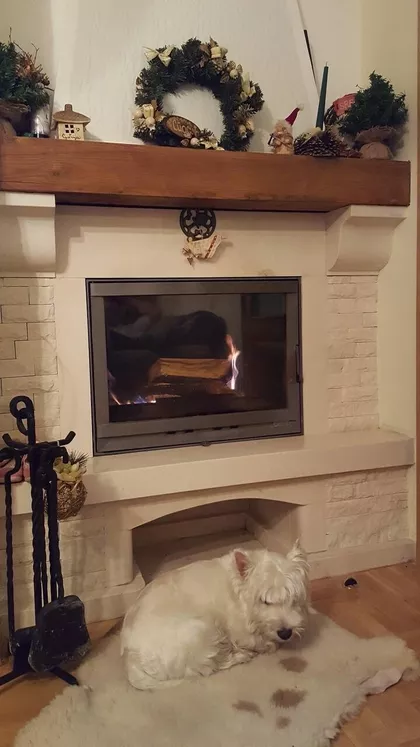 Jedriličarska 21 | 4zida.rs