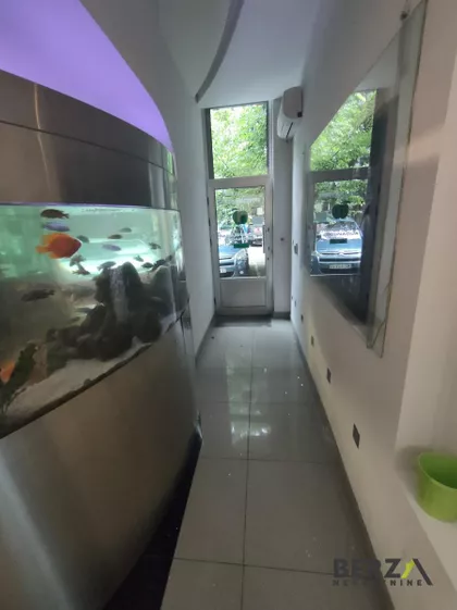 Socijalno | 4zida.rs