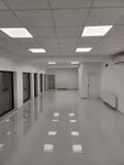 Lokal | 4zida