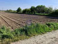 Novi Futog, Futog, Okolne lokacije, Novi Sad | 4zida.rs