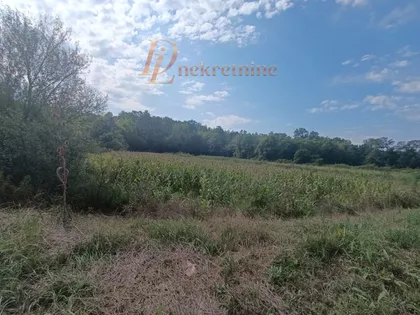 Ravanička | 4zida.rs
