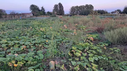 Milutina Borisavljevića | 4zida.rs