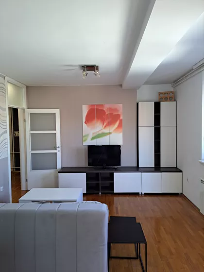 Vase Pelagića | 4zida.rs