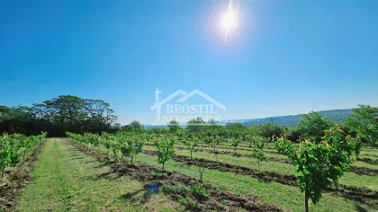 Grocka (mesto) | 4zida.rs