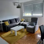 Telep, Gradske lokacije, Novi Sad | 4zida.rs | 4zida.rs