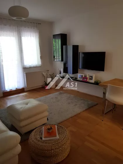 Vase Pelagića | 4zida.rs