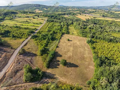 Milovana Milinkovića | 4zida.rs