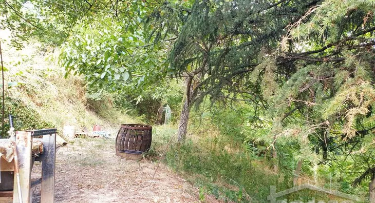 Plac | 4zida