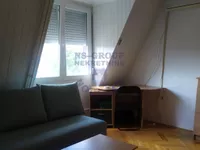 Novi Sad - Centar, Stari Grad, Gradske lokacije, Novi Sad | 4zida.rs