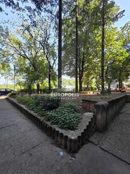 Darinke Radović | 4zida.rs