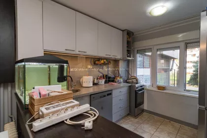 Dr Ivana Ribara | 4zida.rs