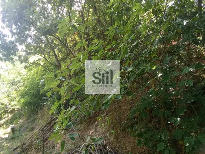 Sremska Kamenica | 4zida.rs