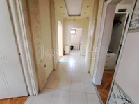 Južni Telep, Telep, Gradske lokacije, Novi Sad | 4zida.rs