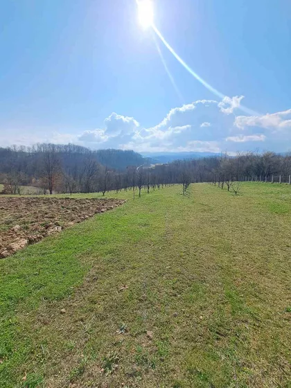 Valjevski Put | 4zida.rs