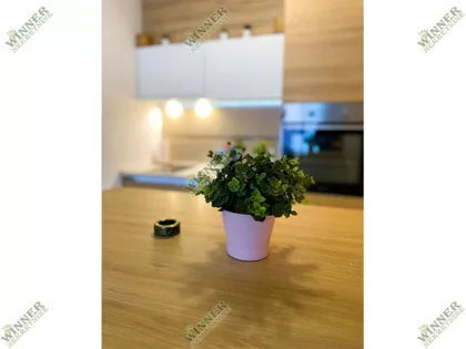 Slavonska | 4zida.rs