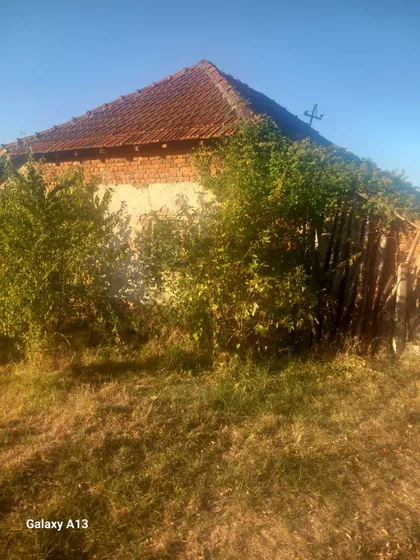 Rsavci | 4zida.rs